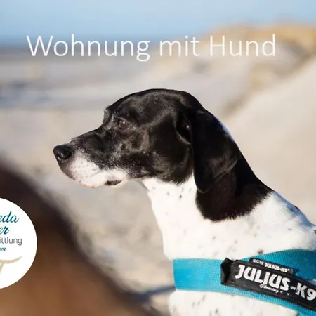 Wiese - Queller Lejlighed Wittdün